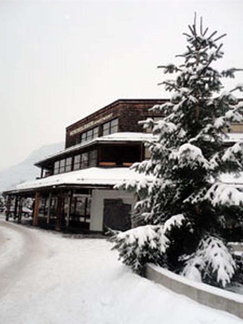 Aparthotel Schindlhaus/Alpin Зелль Екстер'єр фото